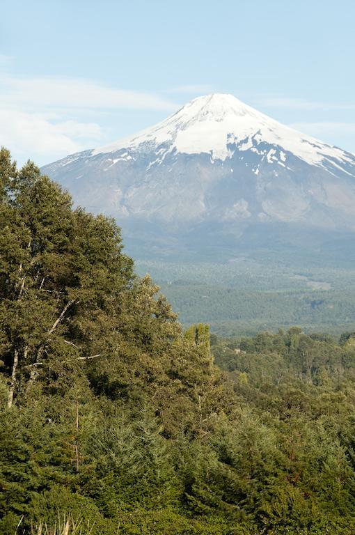 Cabanas Patagonia Lefun Pucón Zewnętrze zdjęcie