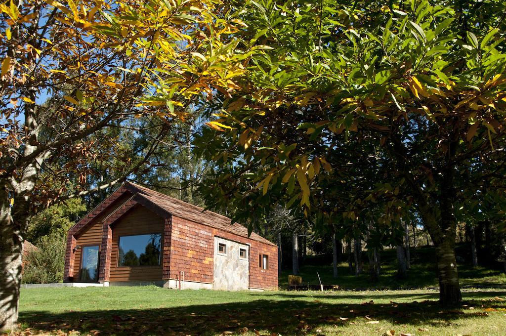 Cabanas Patagonia Lefun Pucón Zewnętrze zdjęcie